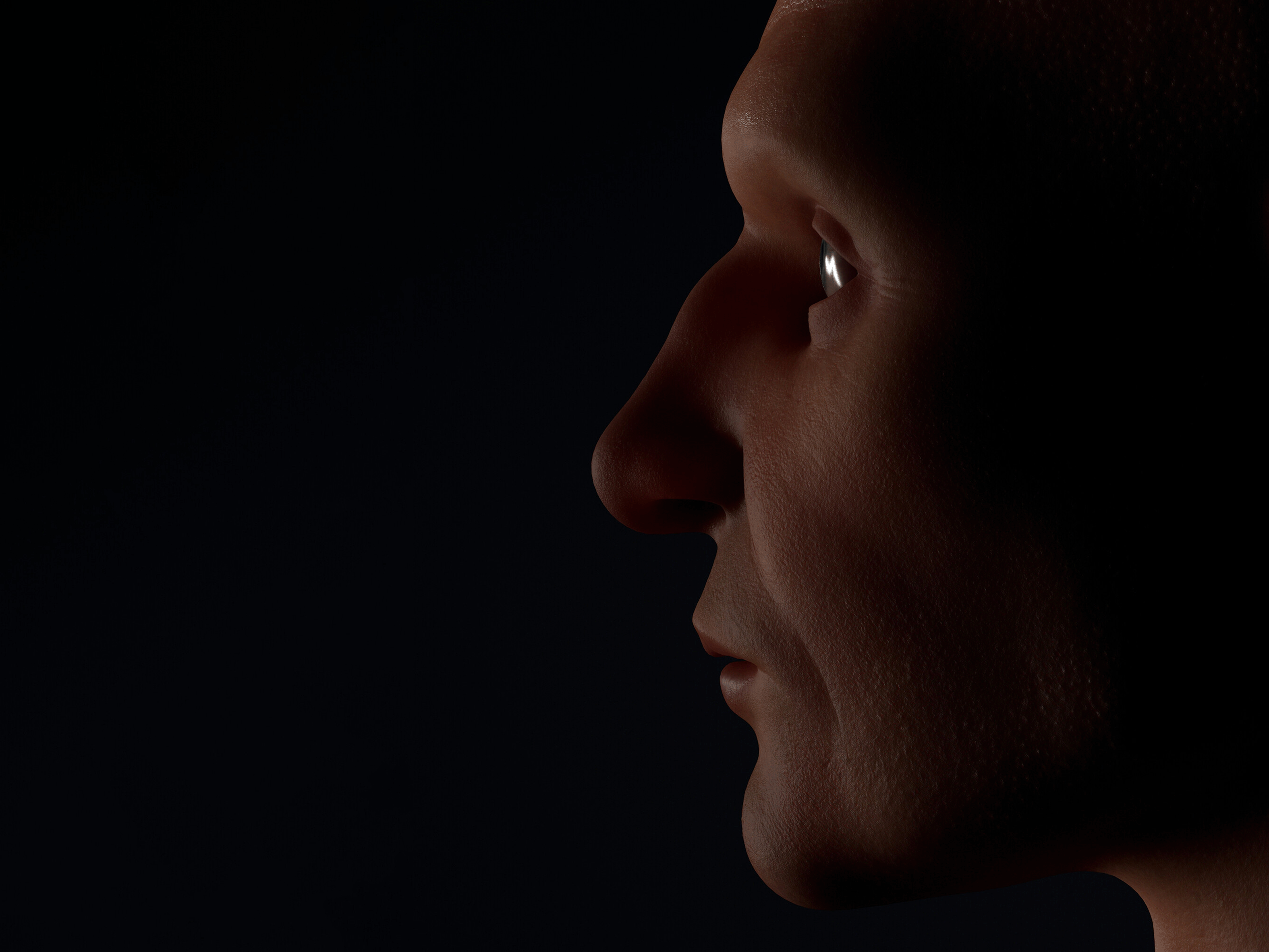 Studija Anatomije Lica