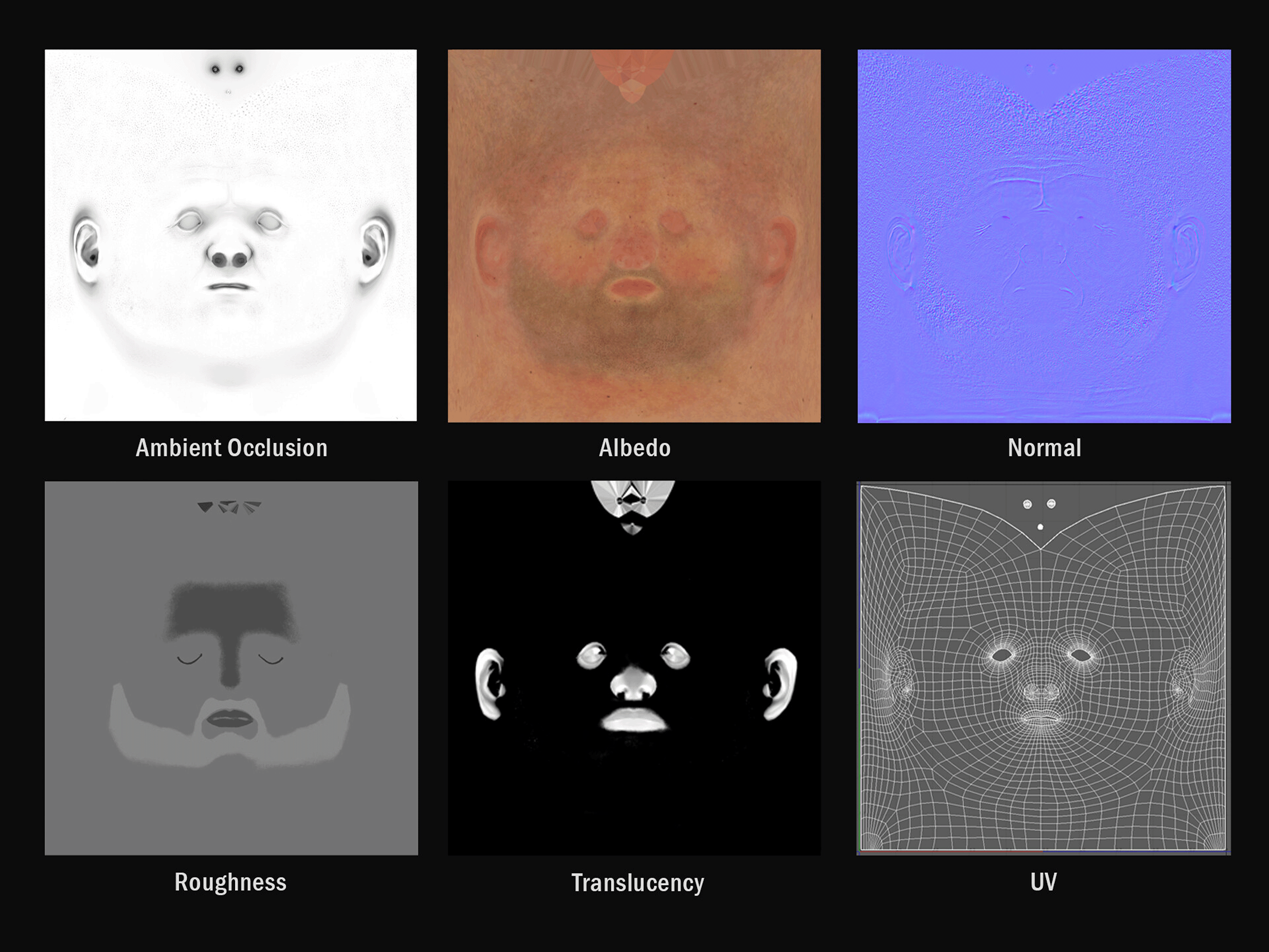Anatomija lica 3D model 10