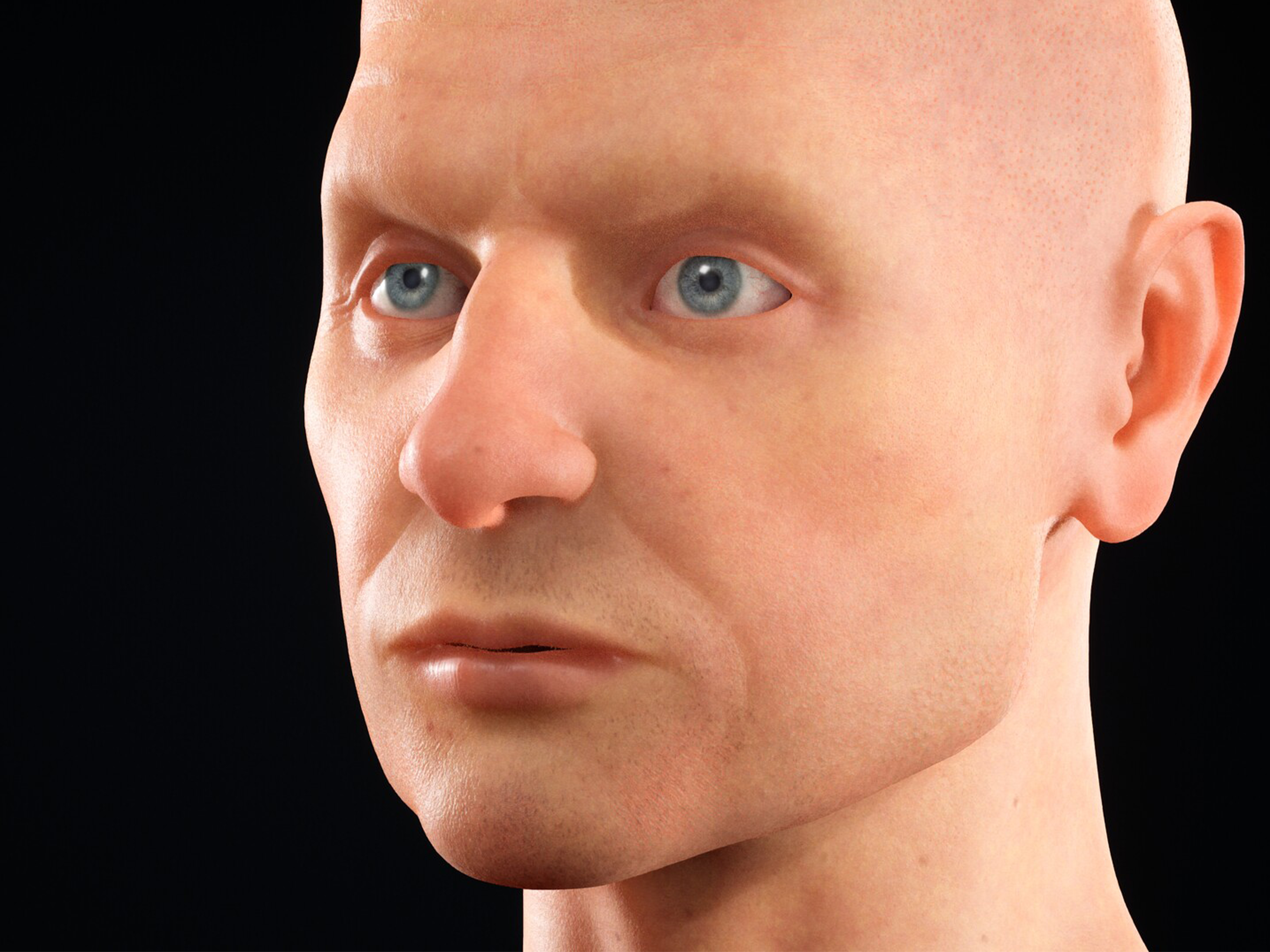 Anatomija lica 3D model 2