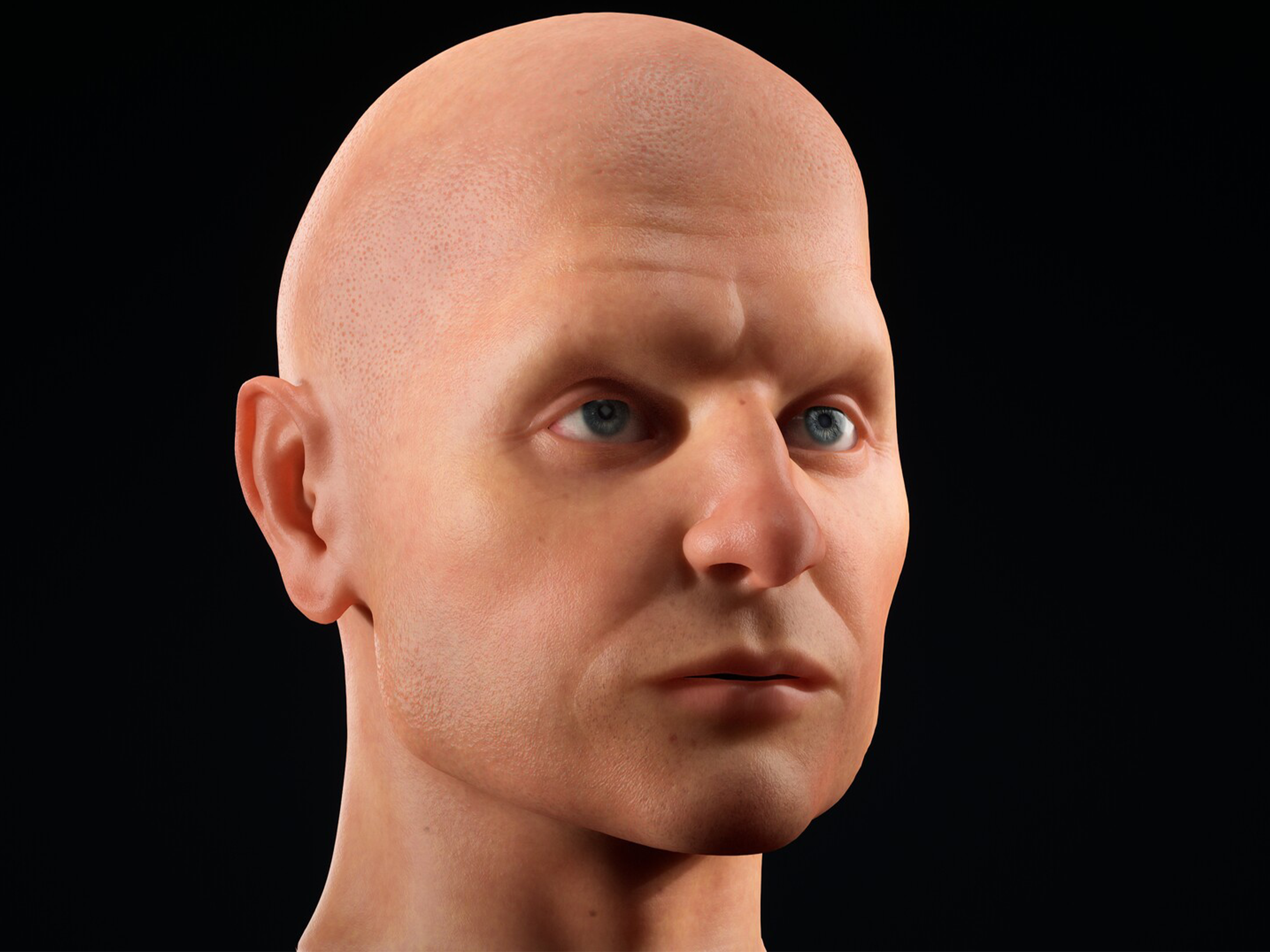 Anatomija lica 3D model 4