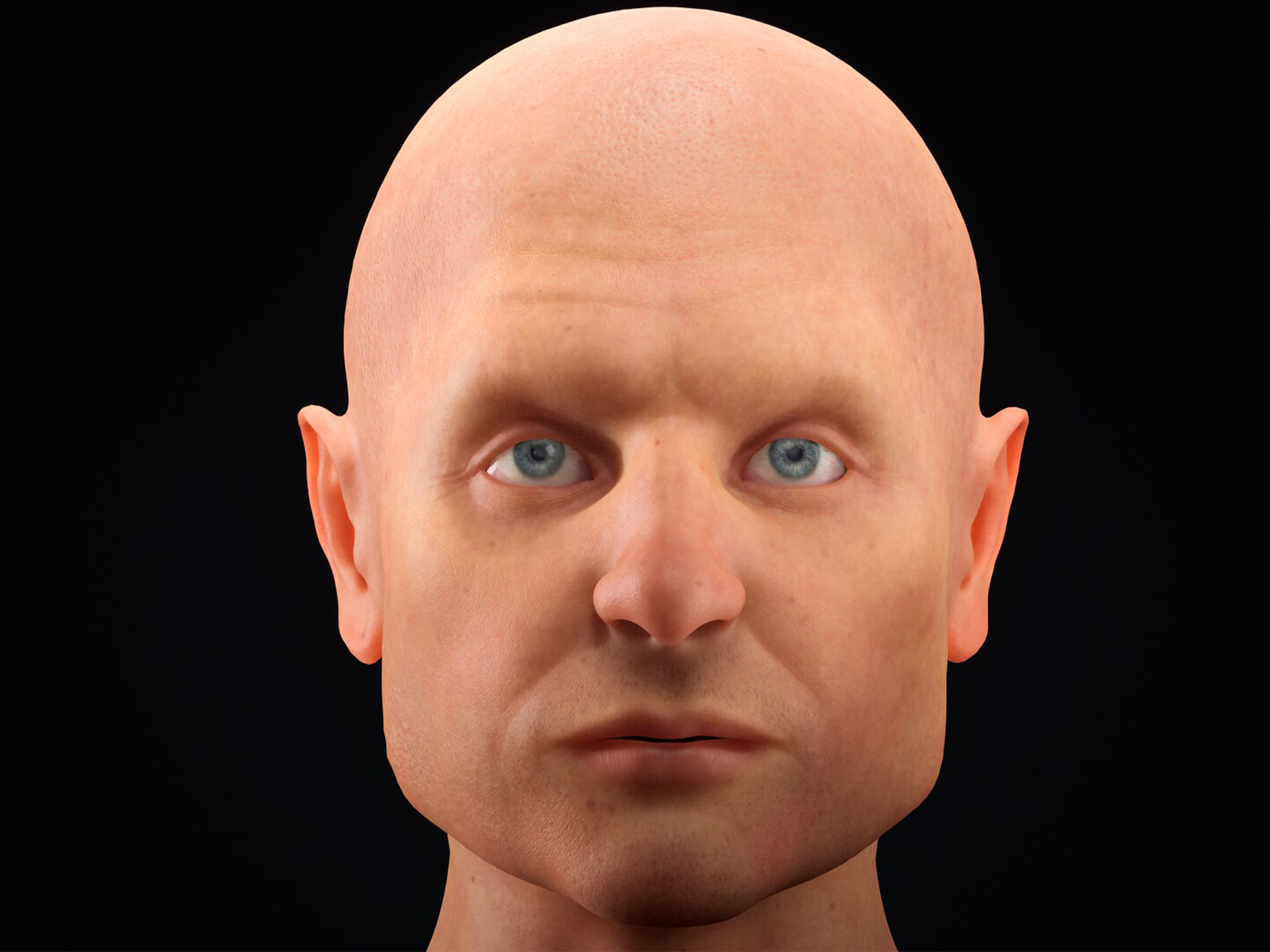 Anatomija lica 3D model 5