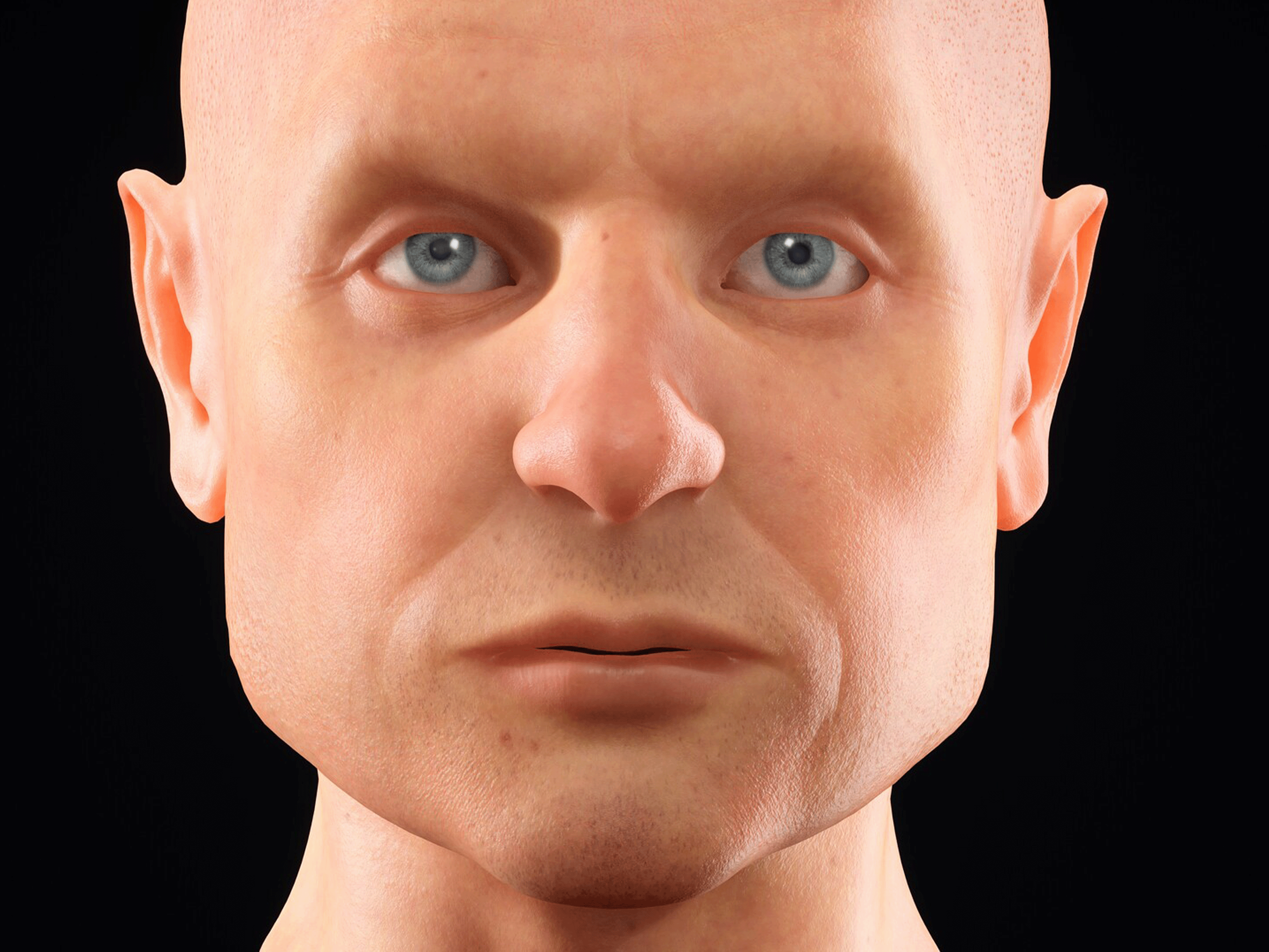 Anatomija lica 3D model 6