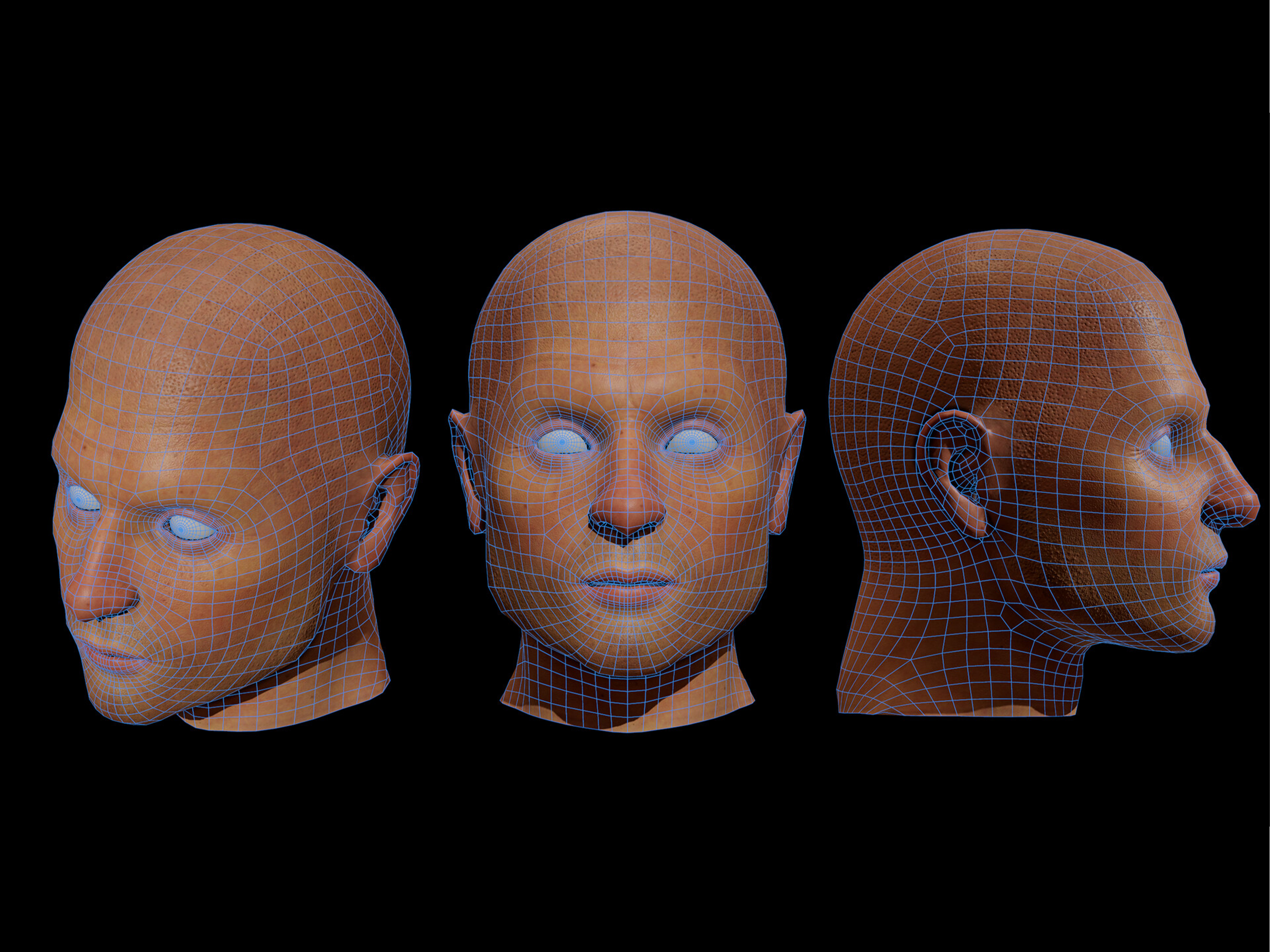 Anatomija lica 3D model 7