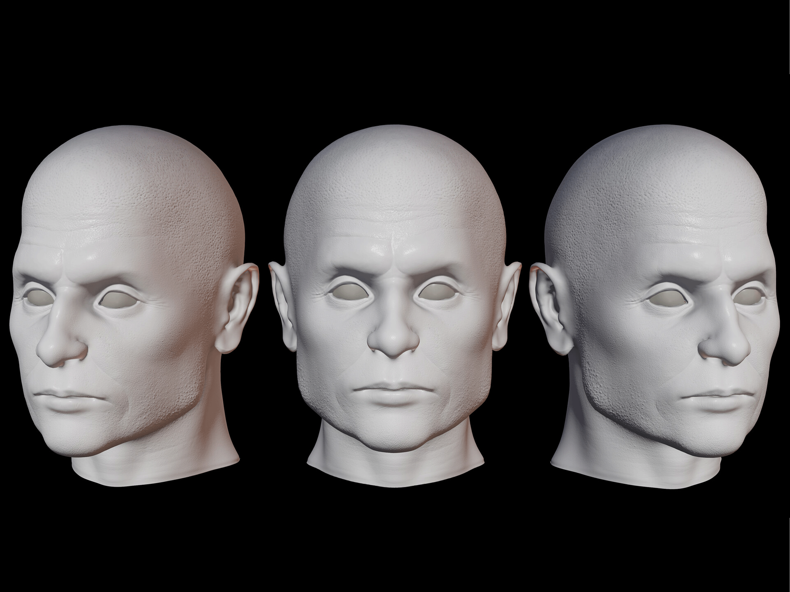 Anatomija lica 3D model 8