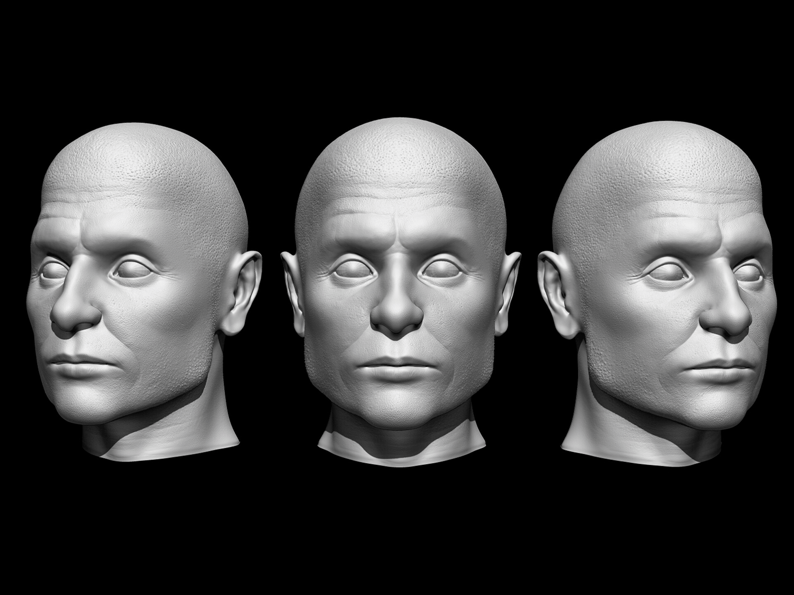 Anatomija lica 3D model 9