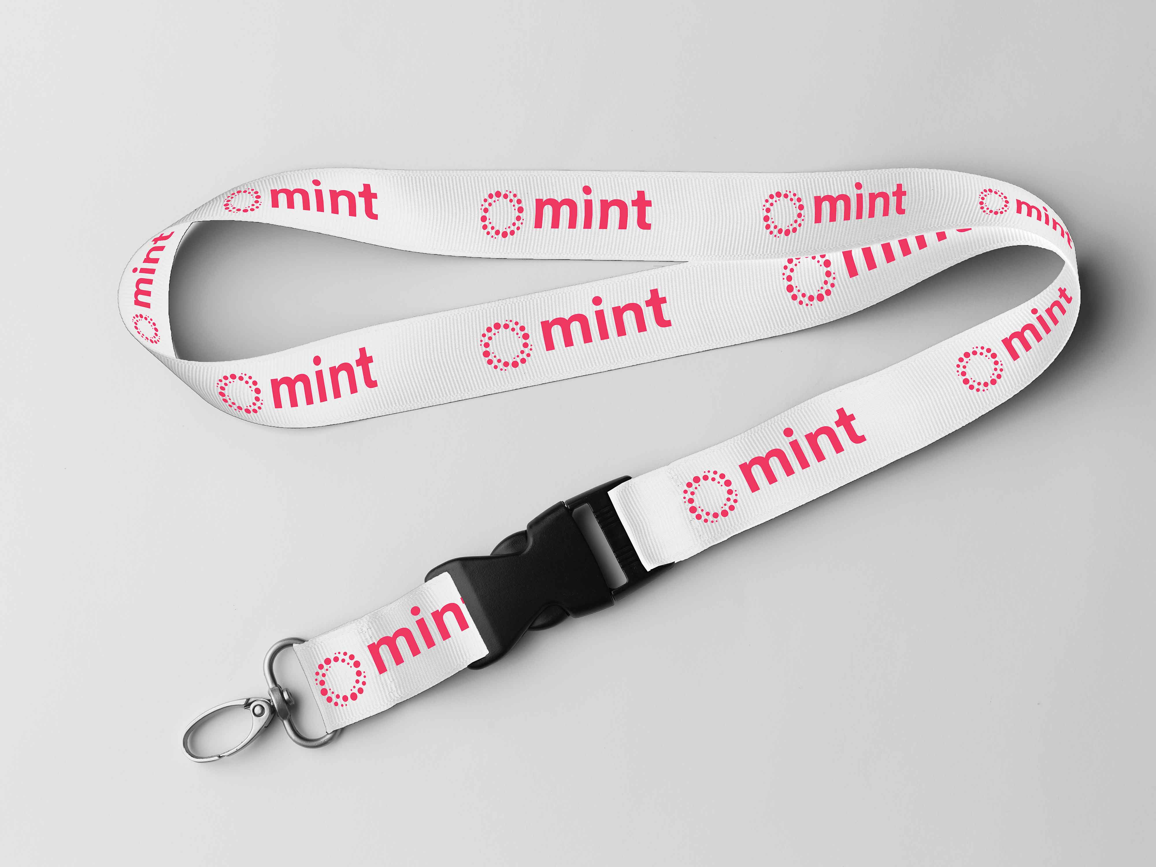 AC Mint brand guidelines